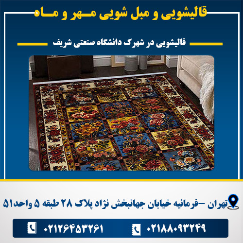 قالیشویی در شهرک دانشگاه صنعتی شریف