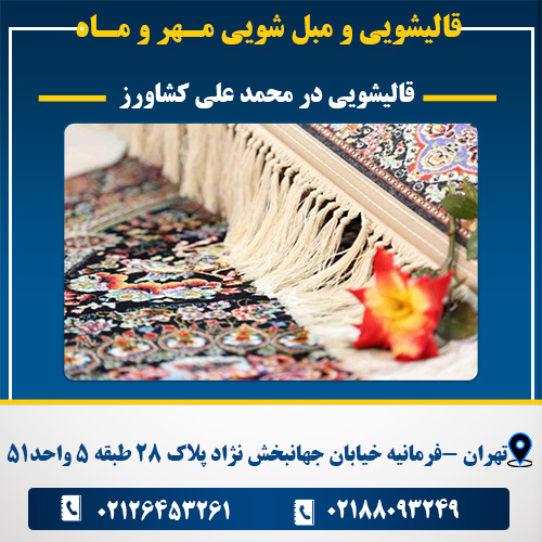 قالیشویی در محمد علی کشاورز