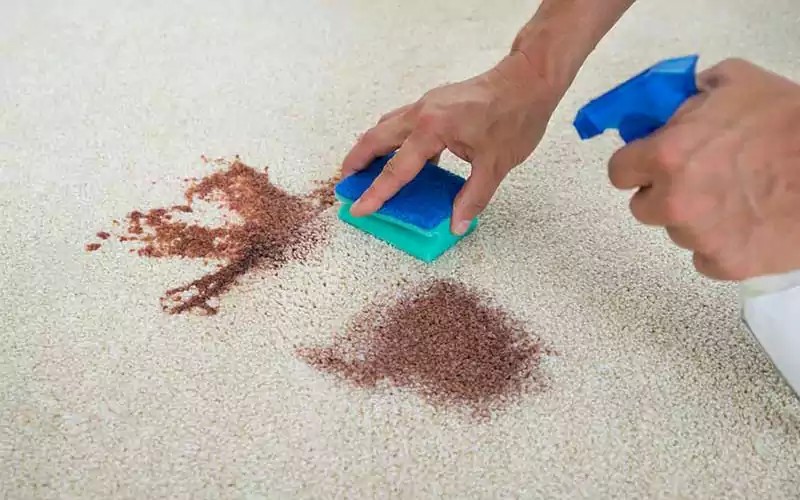 پاك كردن لكه شير كاكائو از روی فرش با 4 روش تضمینی