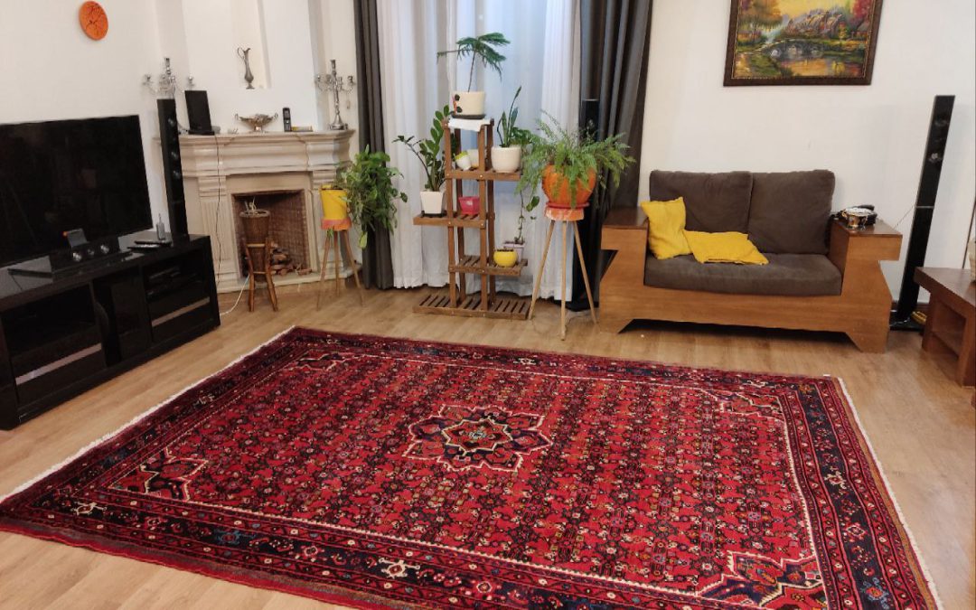 قالیشویی اندیشه فاز ۵