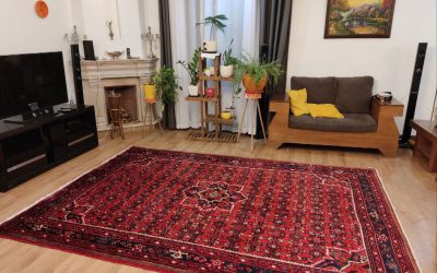 قالیشویی اندیشه فاز ۵